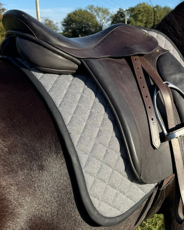 Horse Wearing Foxbury Heritage Saddle Pad in Black Tweed Suede
