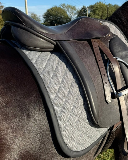 Horse Wearing Foxbury Heritage Saddle Pad in Black Tweed Suede