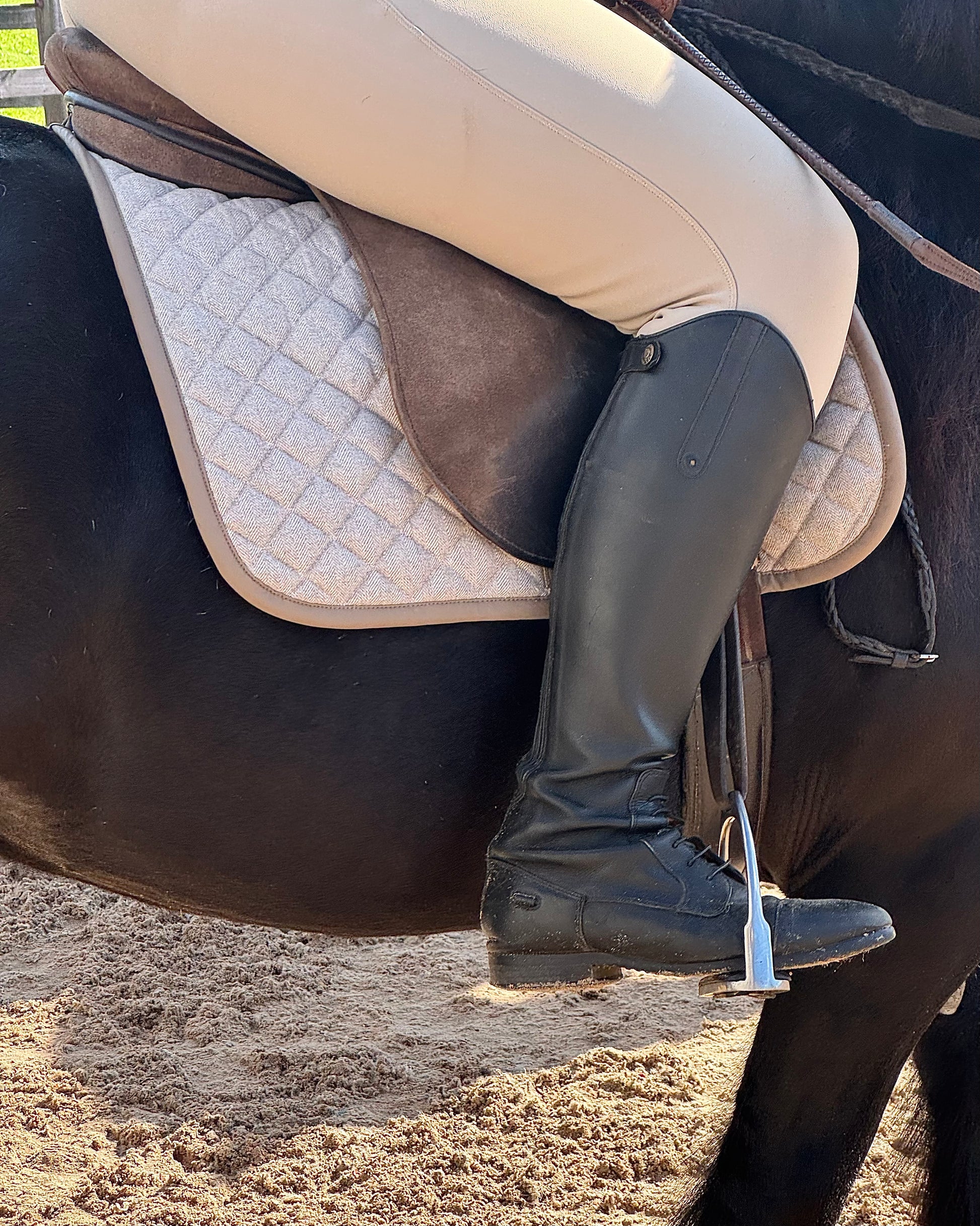 Horse Wearing Foxbury Heritage Saddle Pad in Chocolate Tweed Suede