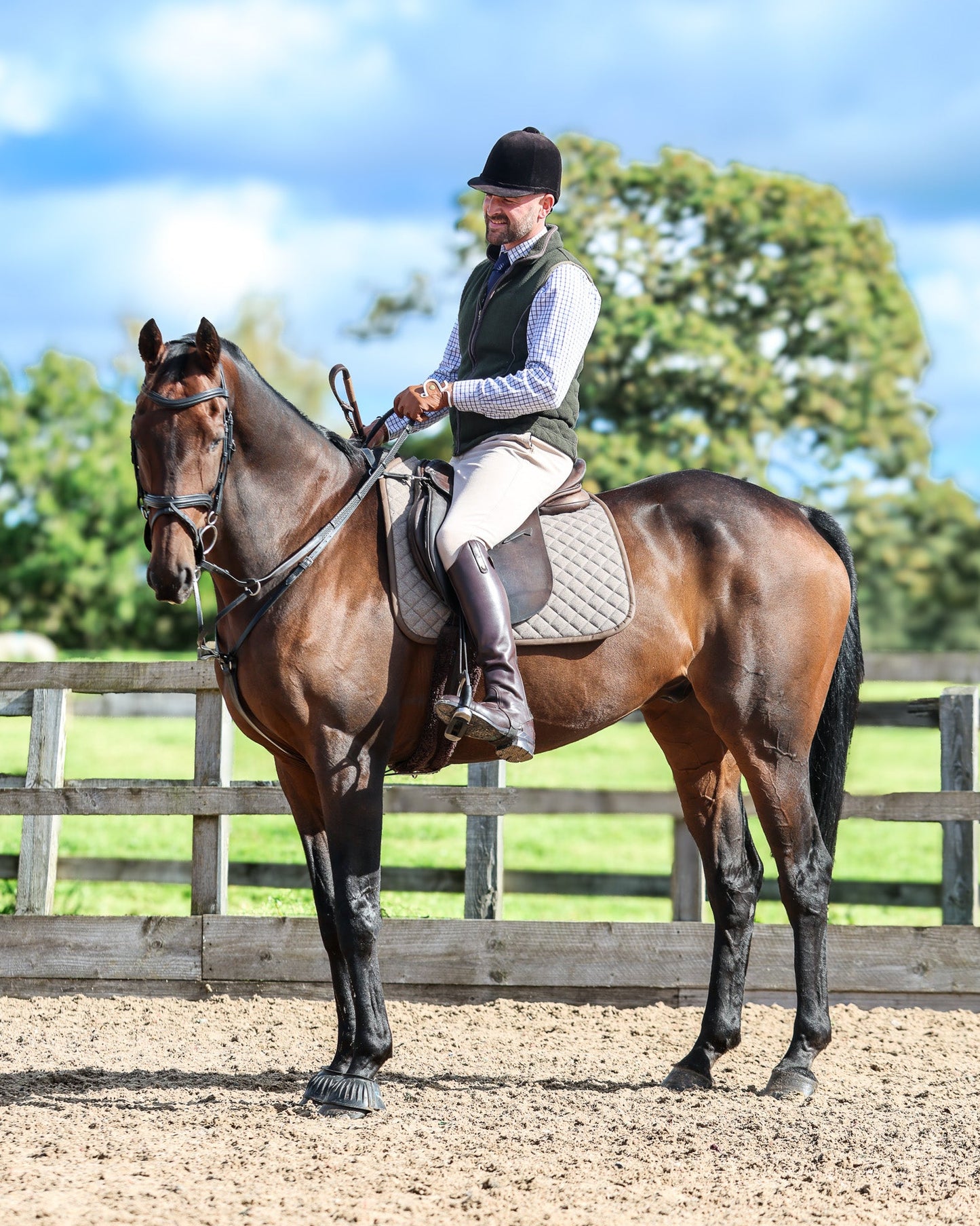 Foxbury Heritage Chocolate Tweed Suede  Saddle Pad on Horse