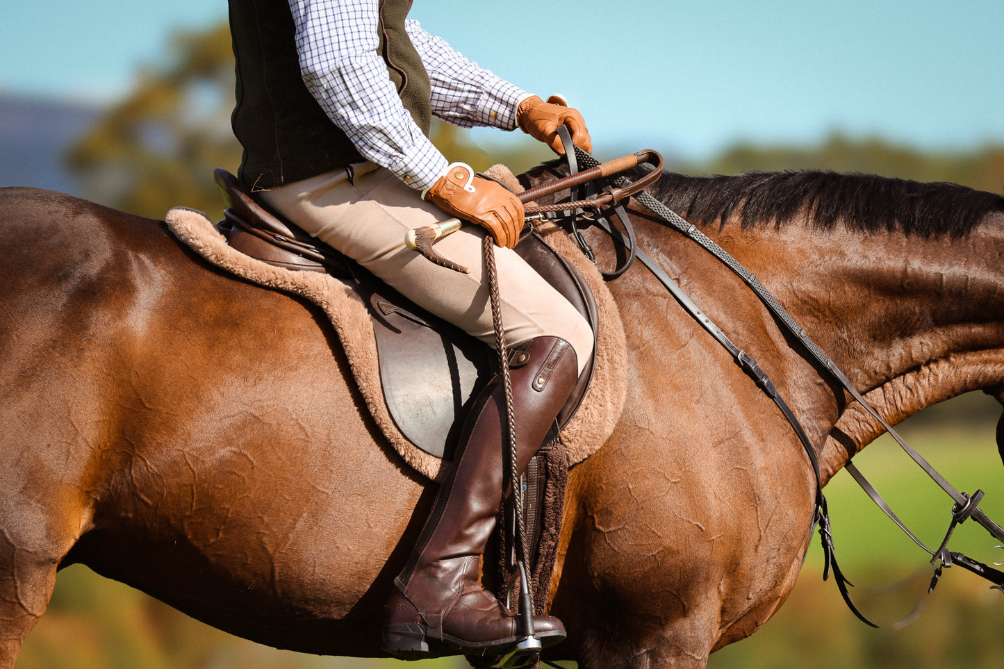 Horse Wearing Foxbury Heritage Saddle Pad in Chocolate Tweed Merino Wool